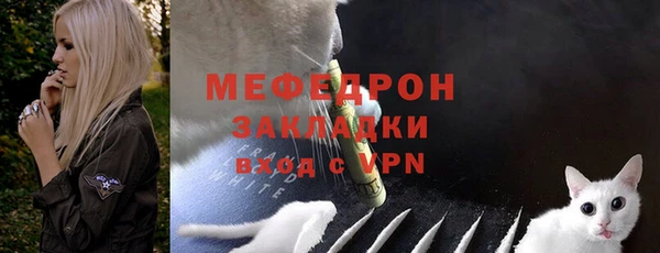 сатива Каменка