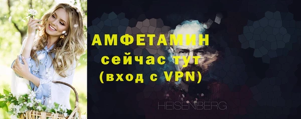 сатива Каменка