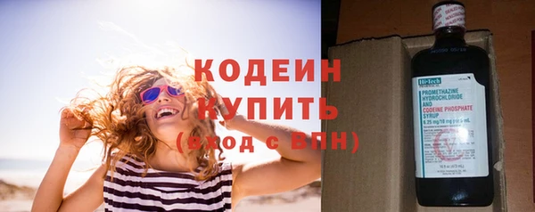 сатива Каменка