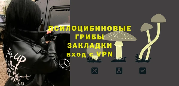 MDMA Каменногорск