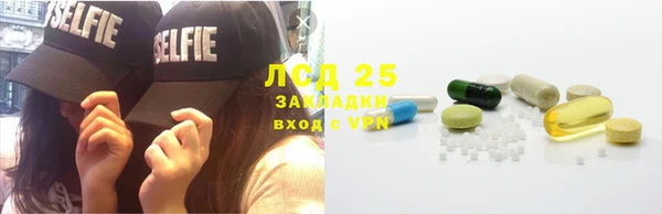сатива Каменка