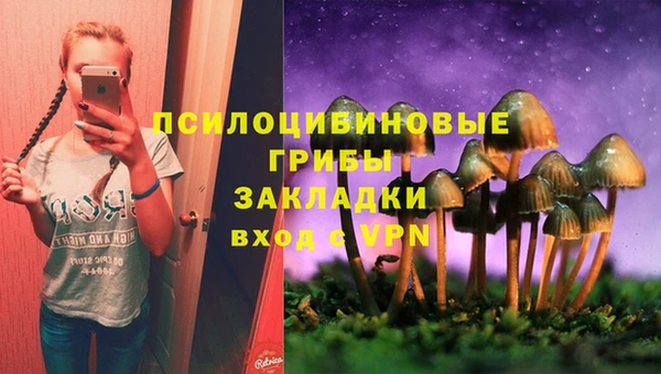 сатива Каменка