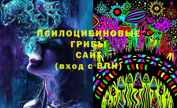 бошки Каменск-Шахтинский