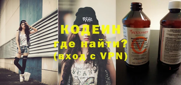 сатива Каменка