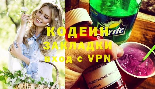 сатива Каменка