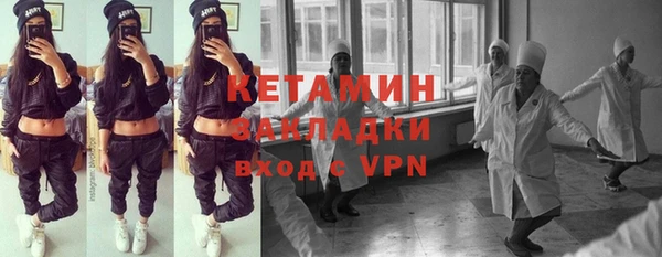 сатива Каменка
